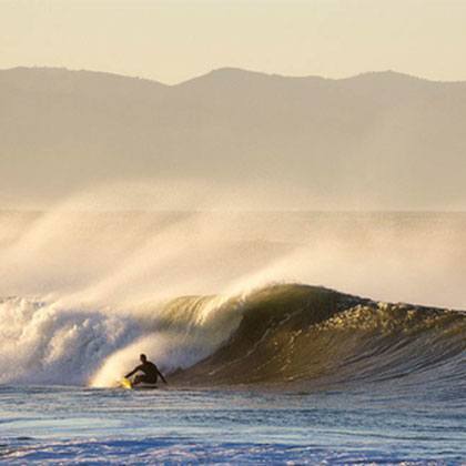 CALIFORNIA GOLD