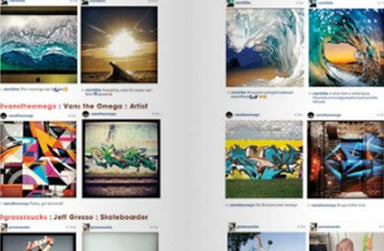 FOLLOW ROARK’S MEANDERINGS IN AN INSTA!