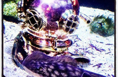 WHISKEY-LACED WET WEDNESDAY!