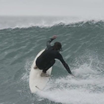 THE FINLESS WONDER