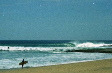 SEARCHING FOR ROARK IN SRI LANKA